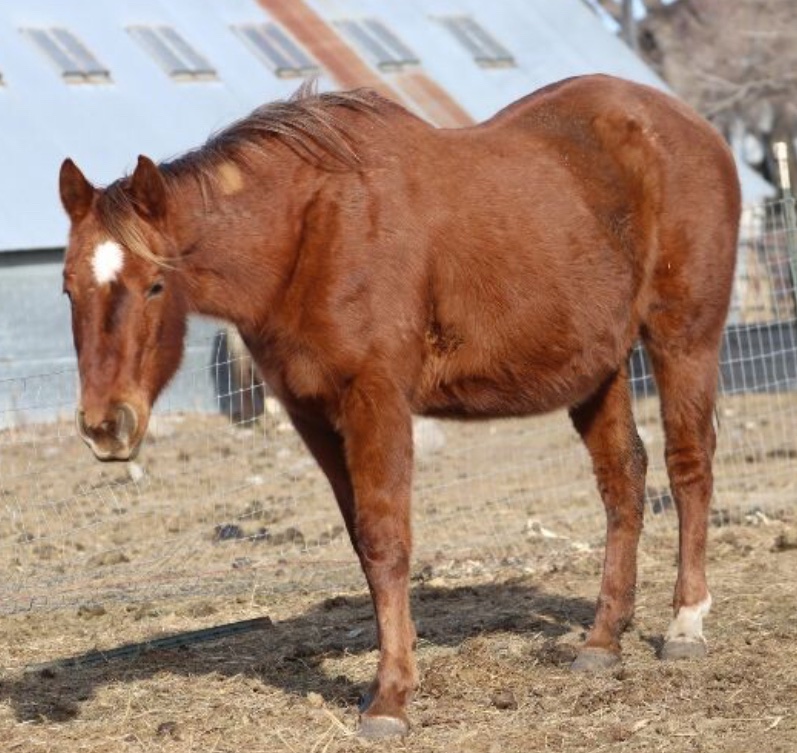 Estelle ("Estie My Bestie")